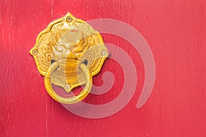 Golden door knocker in the shape of lion with ring on a red wood
