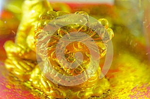 Golden dragon