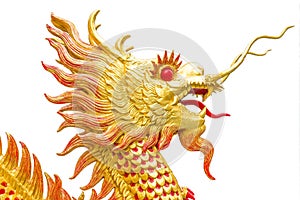 The golden dragon Chinese style on White background art