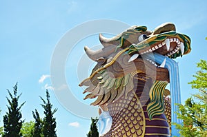 Golden Dragon of Chinese Village at Suphanburi Thailand