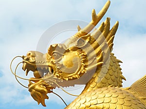 Golden dragon head