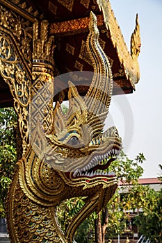 Golden dragon head at the Wat Chiang Man temple, Chiang Mai, northern Thailand.