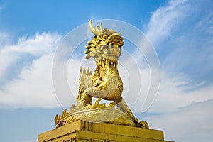 Golden dragon in Hue, Vietnam photo