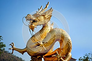 Golden dragon over blue sky