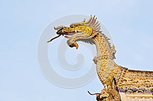 Golden dragon on the roof in temple of Thailand.