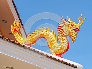 The golden dragon sculpture.