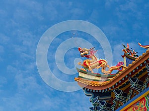 Golden Dragon sculpture on the roof with beautiful color and blue sky background