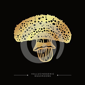 Golden drawing of hallucinogenic mushroom. A stylized image of a psilocybin mushroom. Hand drawn toadstool concept. Fly agaric