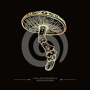 Golden drawing of magical surreal hallucinogenic mushroom. Fly agaric gold sticker. Hand drawn toadstool concept. Toxic Fantasy