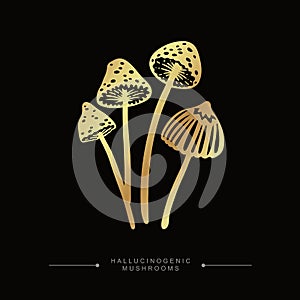 Golden drawing sticker of psilocybin mushrooms. Hand drawn toadstool concept. A group of golden toxic magical hallucinogenic