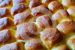 Golden ducat leavened baked buns photo