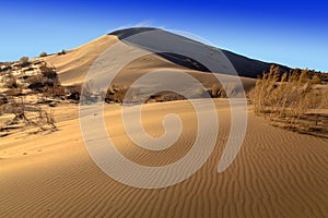 The golden dunes of the Singing Barkhan. National Nature Reserve Altyn-Emel, Kazakhstan
