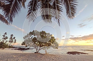 Golden dusk sun light at sunset on beautiful empty tropical beach with deckchair and palm tree fronds at Lefaga, Matautu, Upolu I