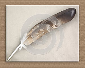Golden eagle feather background