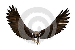 Golden Eagle landing with wings up, 3D illustration isolated on white background