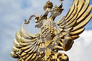 Golden eagle symbol of the emblem of Russia