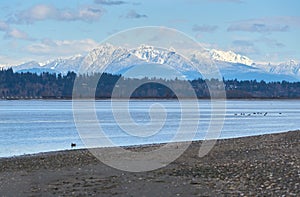 Golden Ears across Boundary Bay