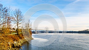 Golden Ears Bridge over the Fraser River viewed from the Trans Canada Trail near the Bonson Community in Pitt Meadows