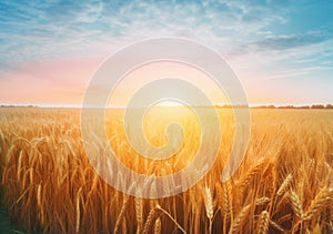 Golden ears of ripe wheat in a field with morning sun rising over horizon. Generative AI realistic illustration