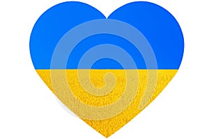 golden ears of rye wheat field and blue sky heart shape symbol concept of national Ukraine flag