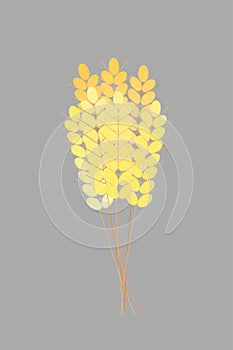 Golden ears of wheat. Autumn harvest. A bouquet of ears. Harvesting. Vector