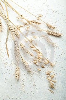 Golden ears of wheat and oats on a white table
