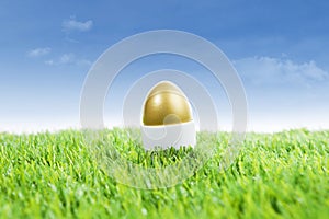 Golden easter egg on grass