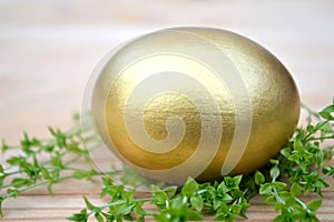 Golden Easter egg and grass
