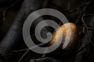 Golden easter Egg photo
