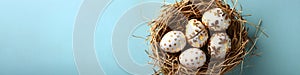 Golden Easter eggs in bird nest on pastel blue background. Happy Easter concept