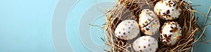 Golden Easter eggs in bird nest on pastel blue background. Happy Easter concept