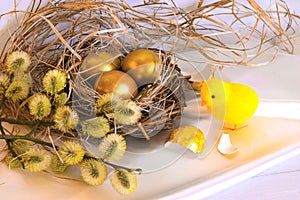 Golden easter eggs in a bird`s nest and chicken
