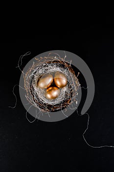 Golden Easter Eggs in birds Nest on black and white abstract background.