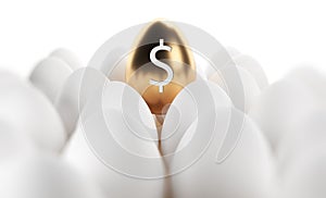 Golden Egg And Dollar Symbol Standing Out From White Egg