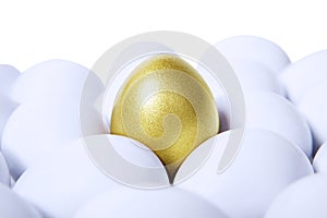 Golden egg horizontal