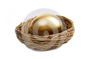 Golden Egg Laying In Nest