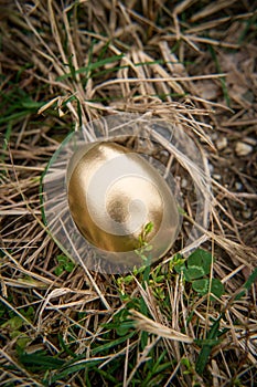 Golden Egg Metaphor Concept