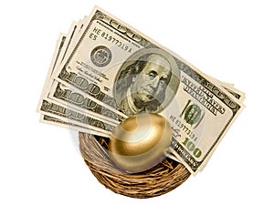 Golden Egg and Money In Nest Isolated On White