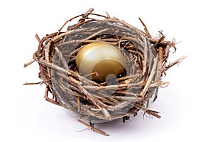 Dorado huevos en nido 
