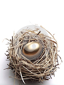 Golden Egg in the Nest