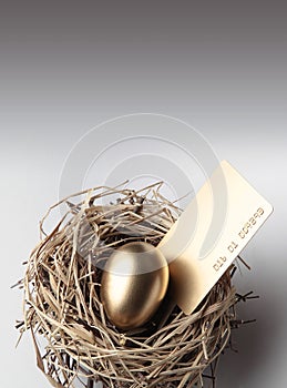 Golden Egg in the Nest