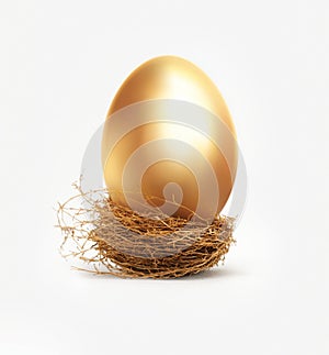 Golden egg in nest