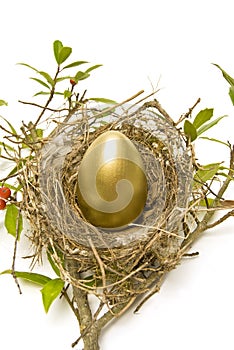 Golden Egg in Nest