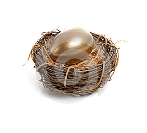 A Golden Egg in Nest