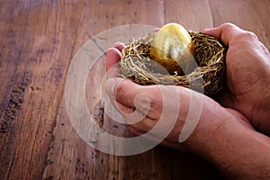 Golden egg in nest. Concept of investments, savings and pensions