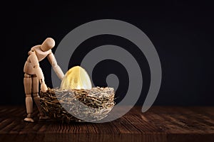 Golden egg in nest. Concept of investments, savings and pensions photo