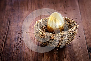 Golden egg in nest. Concept of investments, savings and pensions