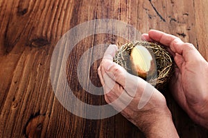 Golden egg in nest. Concept of investments, savings and pensions