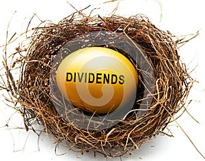 Golden egg in a nest with Dividends text photo