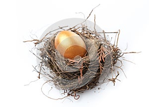 Golden egg in nest isolated on white background